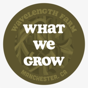 What We Grow - Hillary #4050564