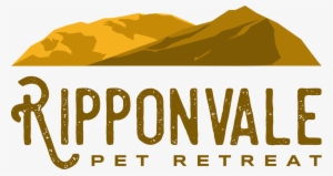 Home - #period Hacks #4051069