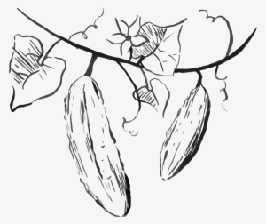 Tzatziki Sauce - Line Art #4051792