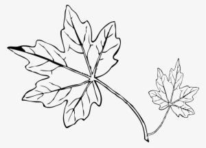 Pumpkin Leaf Outline Image Library Techflourish Collections - Coloring Page Fall Leaf #4051973