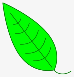 Leaf Clipart Simple - Hojas De Arbol Verde Png #4052093