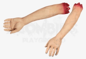 Severed Arm - Severed Arms #4054054