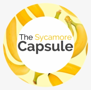 Welcome To Sycamore Class Capsule - Curriculum #4054267