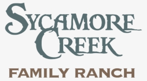 Steampunk Pocketwatch Round Coaster #4054369