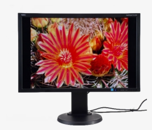 To Paraphrase An Old Adage - Nec Multisync E245wmi #4054581