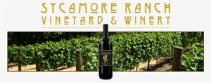 Sycamore-ranch - Sycamore Ranch Vineyard & Winery #4054606