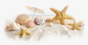 Fd34creationstubes Mar Y Playa, Portada Fb, - Beach Scene Cover Photos For Facebook #4054905