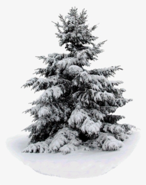 The Legend Lives, On A Snowy Christmas Night, Elvis #4054961