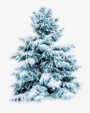 Thumb Image - Arboles Nevados Png #4055110