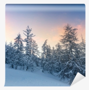 Beautiful Winter Landscape With Snow Covered Trees - Wallpaper #4055149