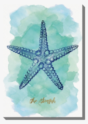 Photo Canvas Cm Blue Starfish #4055186