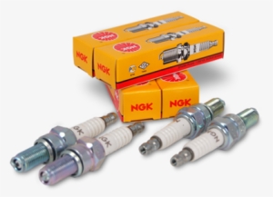 Ngk Spark Plugs - Ngk Standard Spark Plug Br8hs10 1134 Set #4055216