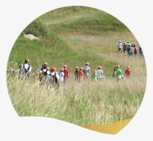 Let Your Child Soar - Student #4055239