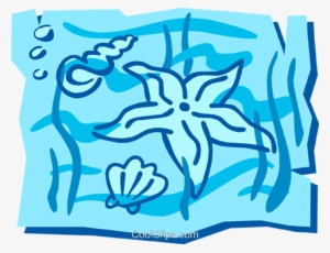 Estrella De Mar Libres De Derechos Ilustraciones De - Onelove Oneocean Square Sticker 3" X 3" #4055324