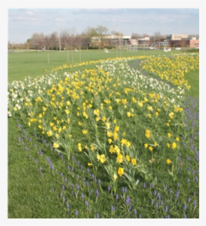 April 5- Blue Star Marker Dedication - Garden #4055328