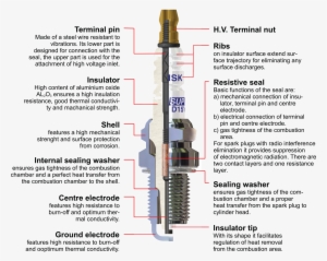 Brisk Spark Plugs Are Designed And Manufactured To - Spark Plug Cross Section #4055733