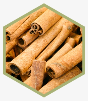 Natural Organic Ingredient Cinnamon - Candle Scent Block - Cinnamon, Pd #4056546