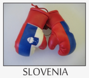 Mini Boxing Gloves - Boxing #4056685