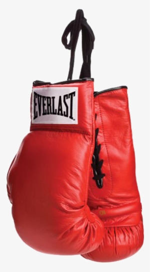 Discover Ideas About Boxing Training Gloves - Everlast Boxing Gloves #4056980