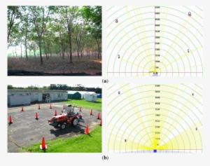 Lrf Data From The Para-rubber Plantation And (b) The - Natural Rubber #4057229