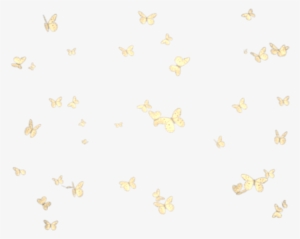 Butterflies Mariposas Mariposa Butterfly Group Grupo - Butterflies #4057570