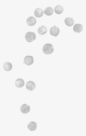 Crafter's Is An Estonian-made Artisanal Gin Inspired - Coin #4057806