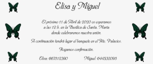 Invitación - Papilio #4058080