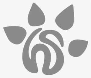 Huella Salvaje Huella Salvaje - Crab-eating Fox #4058329