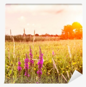 Prince Of Wales Feathers #4058364