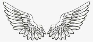 Report Abuse - Angel Wings Drawing Png #4058477