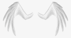 Asas De Anjo Branca Png - White #4058479