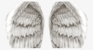 Hd Angel Wings Png #4058499