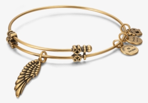 Fashion Charm Bangles Soufeel Angel Wings Charm Bangle #4058863