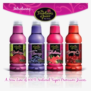 Fountains Of Juice - Bottle #4058864