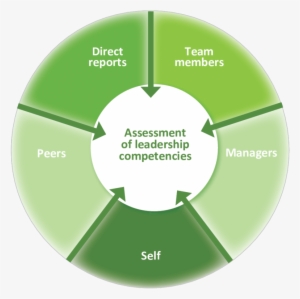 Role Set Identified For Qualitative 360-degree Feedback - Role Set #4060302
