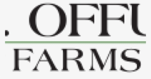 Rimmel London Scandal Eyes Eye Shadow Paint 002 Slate #4060994