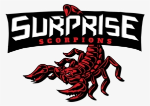 Pause - Scorpion #4061131