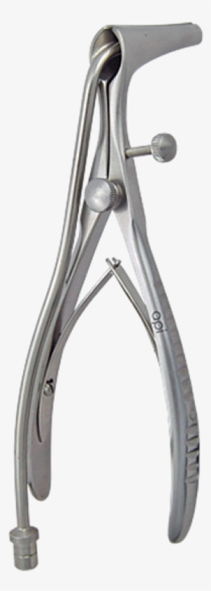 Speculum #4062019