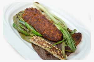 Contact - Fish #4062717