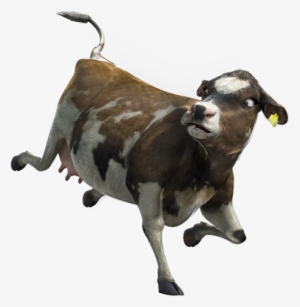 Rosie Bucking - Goat #4062896