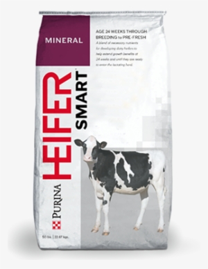 Purina® Heifersmart® Mineral - Purina Mills #4062939
