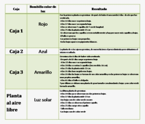 Conclusiones - Bitacora De Crecimiento De Una Planta #4063351