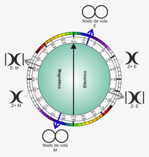 Las Ondas Z Y Z- Tienden Constantemente A Modificar - Wave #4063400