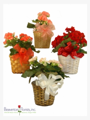 Bouquet #4063642
