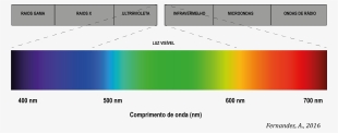 Espectro Luz Visível - Spectre D Absorption De La Lumière #4064129