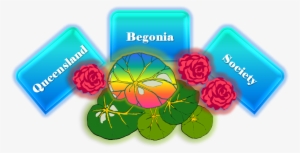 Queensland Begonia Society Logo - Begonia, Queensland #4064130