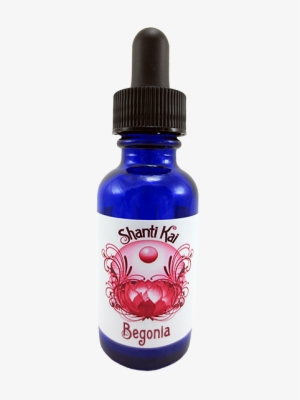 Begonia - Flower #4064375