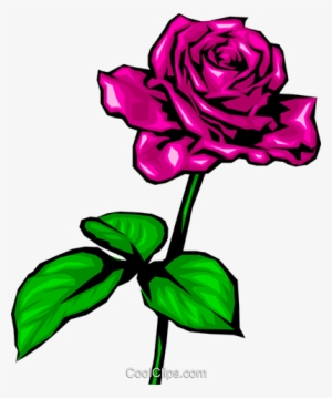 Rosa Roja Libres De Derechos Ilustraciones De Vectores - Sparkling Red Rose Flowers #4064539