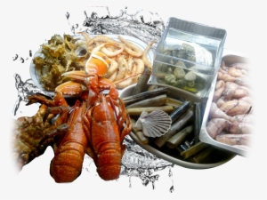 Alfoz Expositor Mariscos - Seafood Boil #4065543