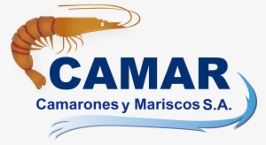 Welcome To Our Company - Rossignol Snowboard Amptek #4065844